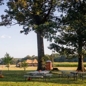Fall Field Trips and Groups - Yoders' Farm