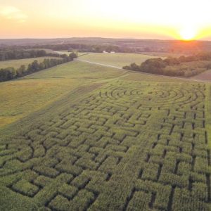 Corn Maze Each Fall - Yoders' Farm