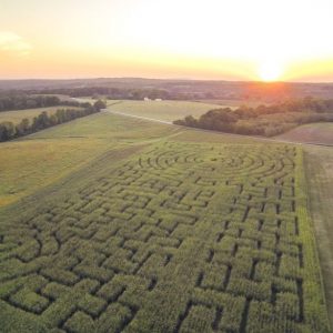 Yoders Farm Corn Maze 2014