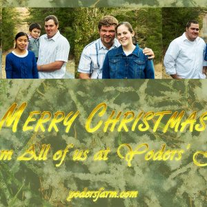 Merry Christmas!