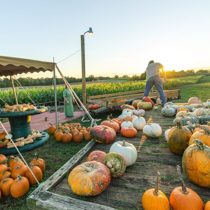 Yoders Farm Local Produce & Family Activities Rustburg VA