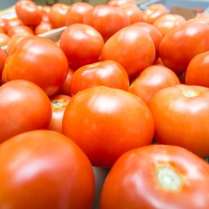 Vine Ripened Hydroponic Tomatoes