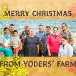 Merry Christmas from Yoders' Farm