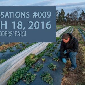 Spring Cleaning for Strawberry Plants - Conversations #009