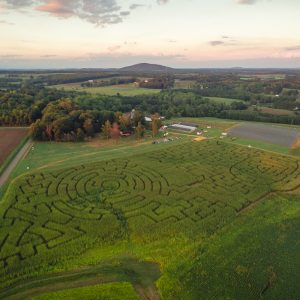 The 2016 Corn Maze