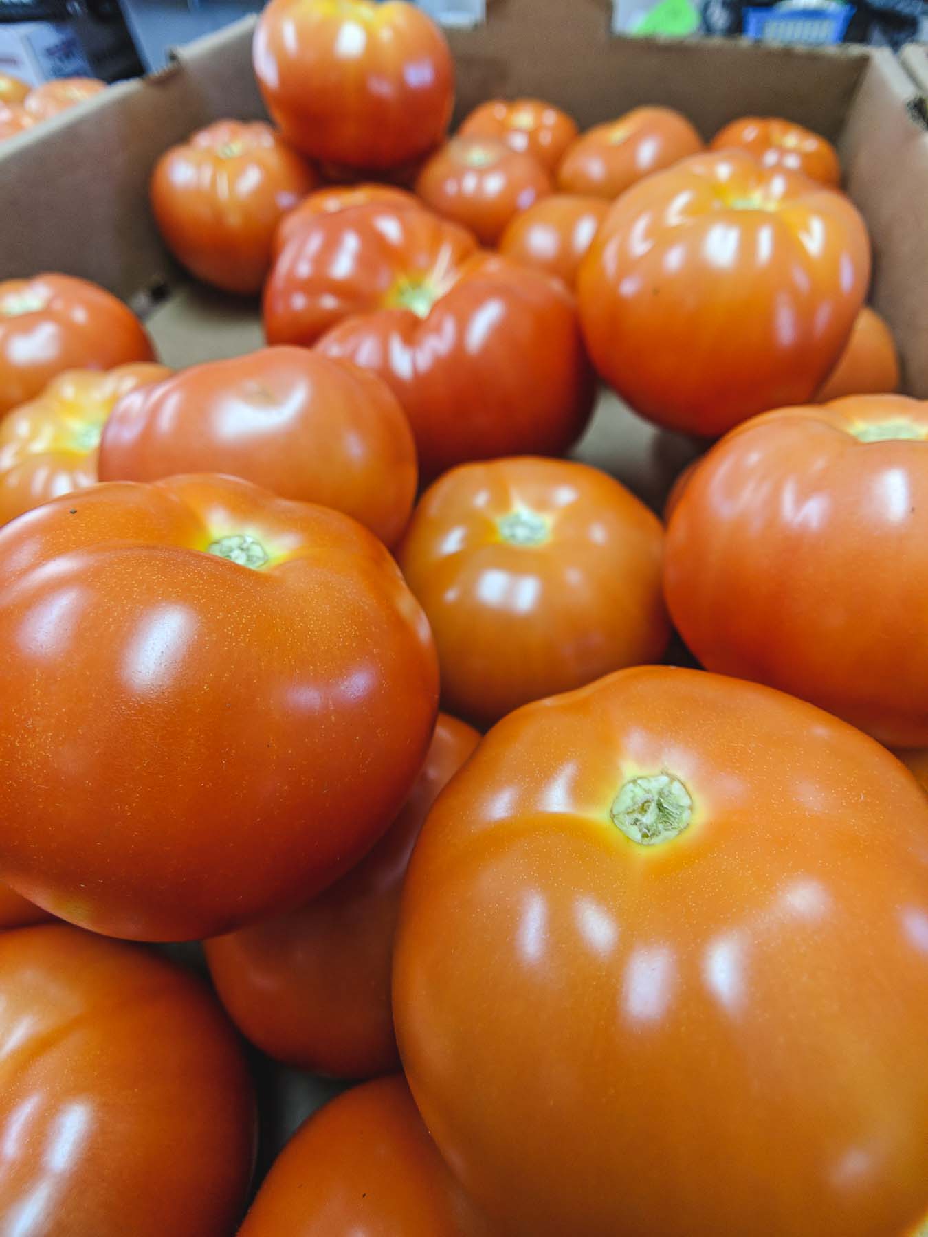 Vine ripened tomatoes