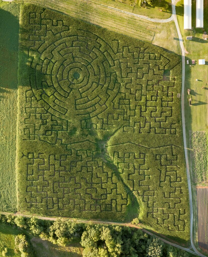 2024 Corn Maze