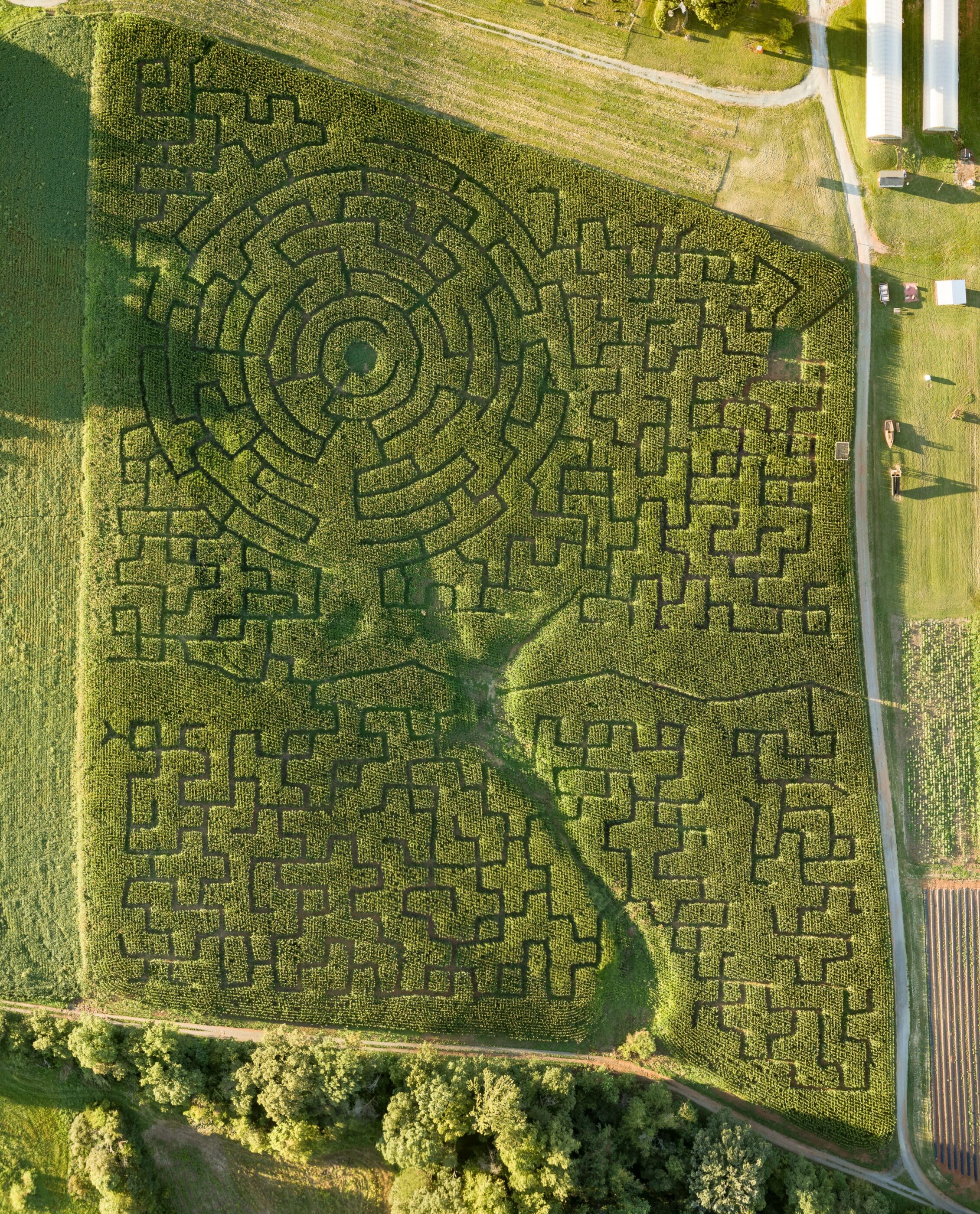 2024 Corn Maze Yoders' Farm