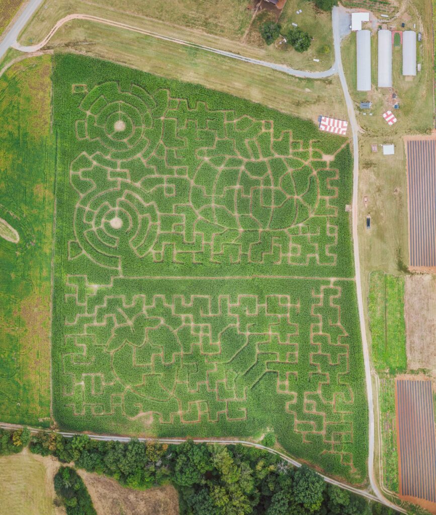 2025 Corn Maze