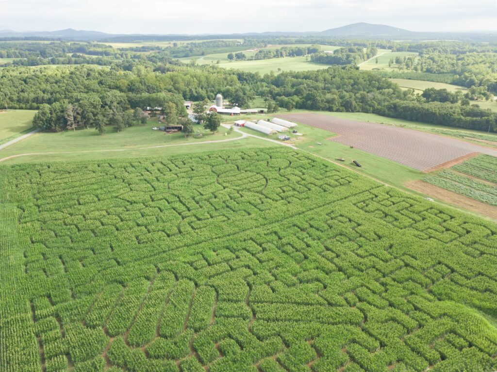 Yoders' Farm 2026 Corn Maze