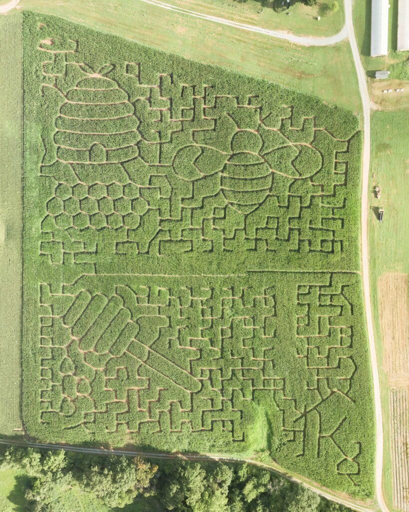 2026 Corn Maze