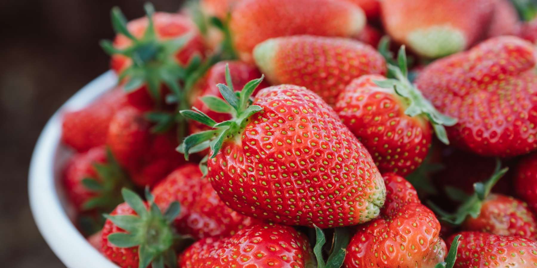 Strawberries @ Yoders' Farm