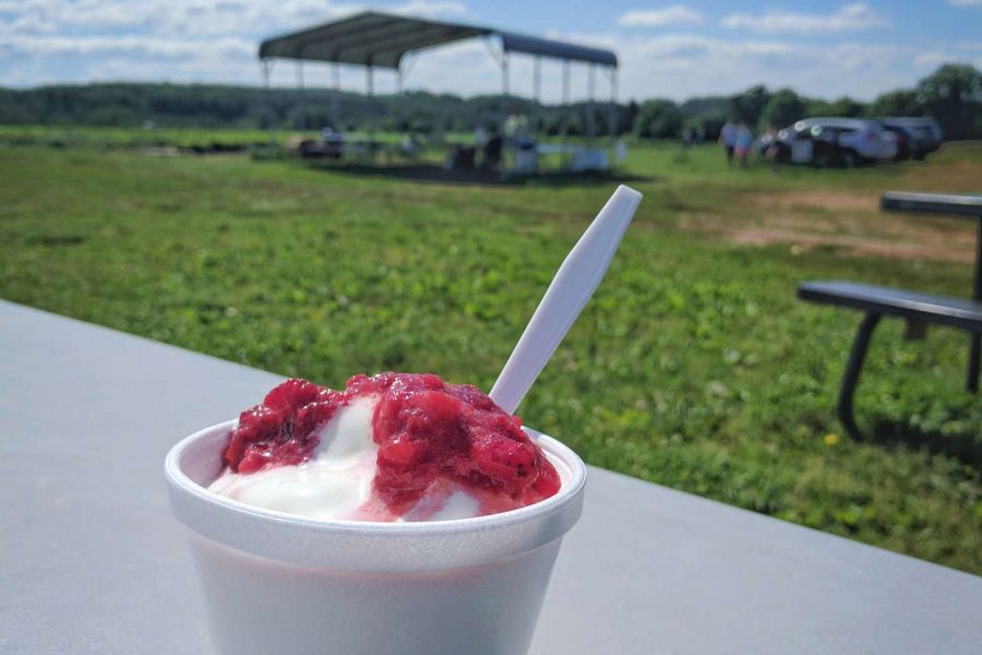 Strawberry Sundae!