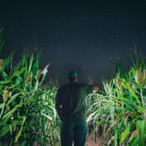 Yoders' Farm Corn Maze Night