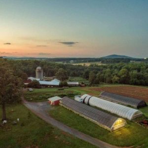 Yoders' Farm - Rusburg Virginia