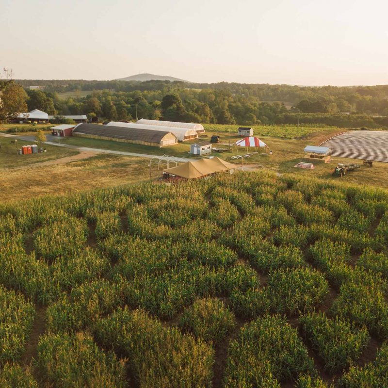 Yoders' Farm Locally grown, gourmet produce & family activities