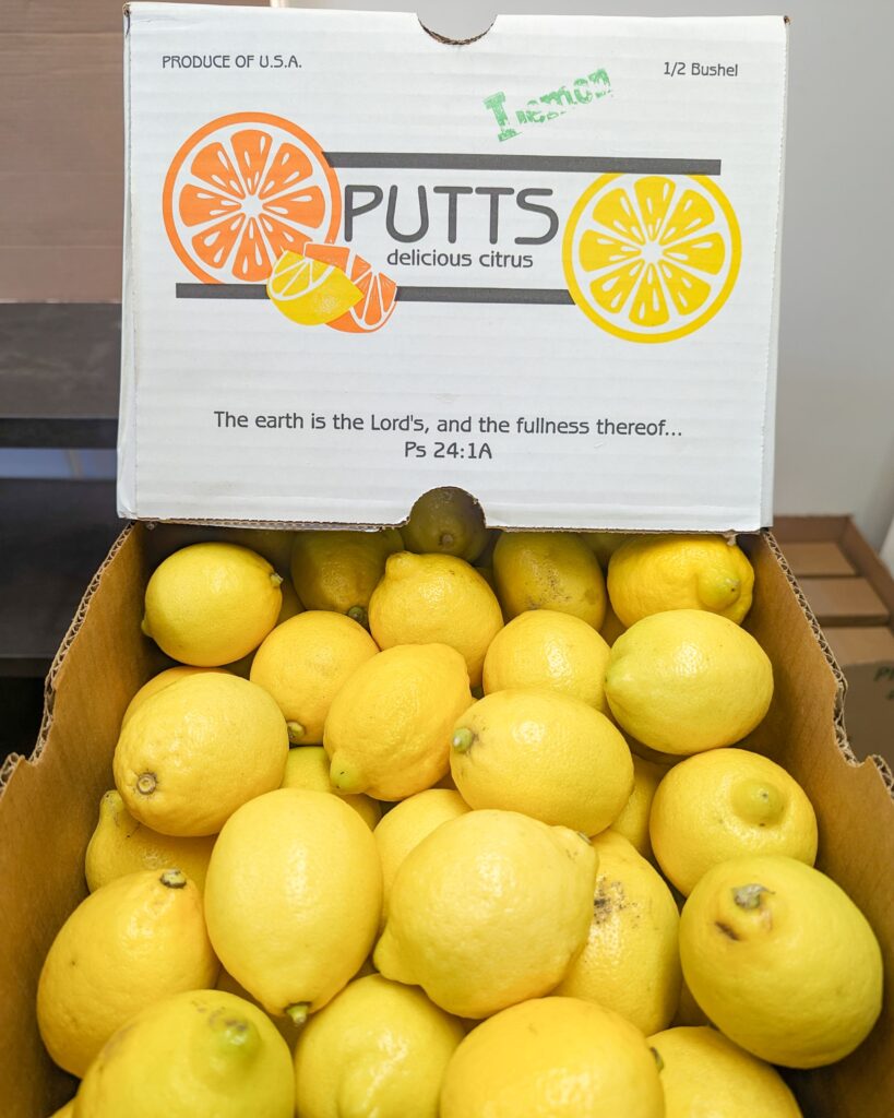 Lemons - Organic