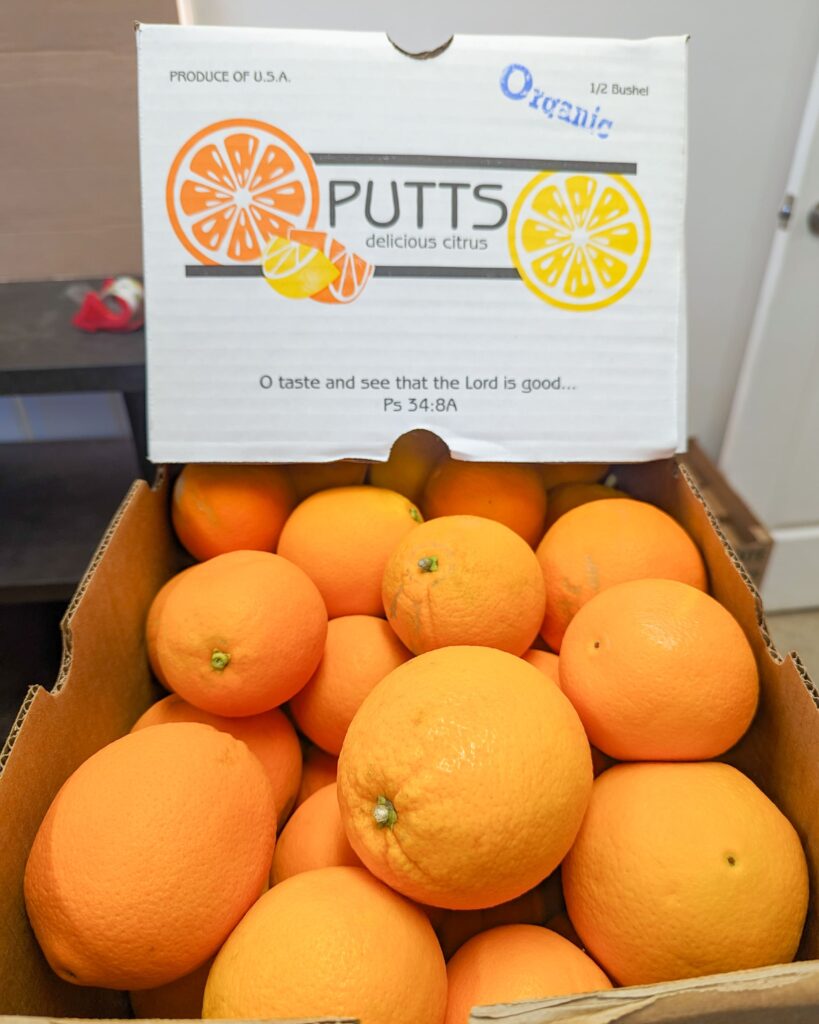 Oranges - Organic