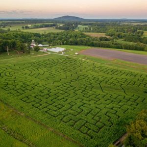 2021 Corn Maze