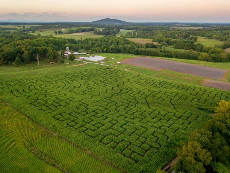 Corn Maze Lynchburg, Rustburg, Central Virginia Yoders' Farm
