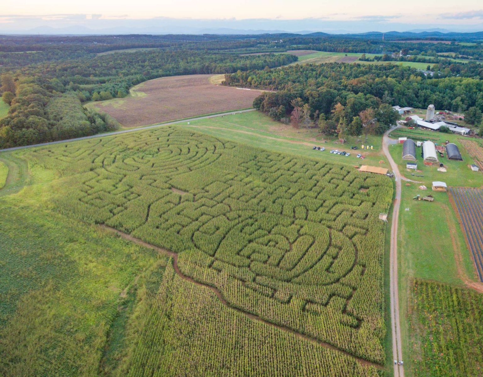 Corn Maze Lynchburg, Rustburg, Central Virginia Yoders' Farm