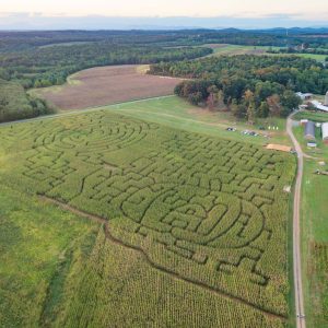 2016 Corn Maze