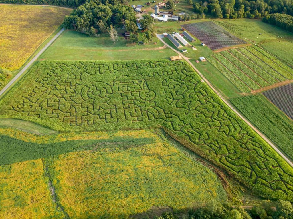 2017 Corn Maze