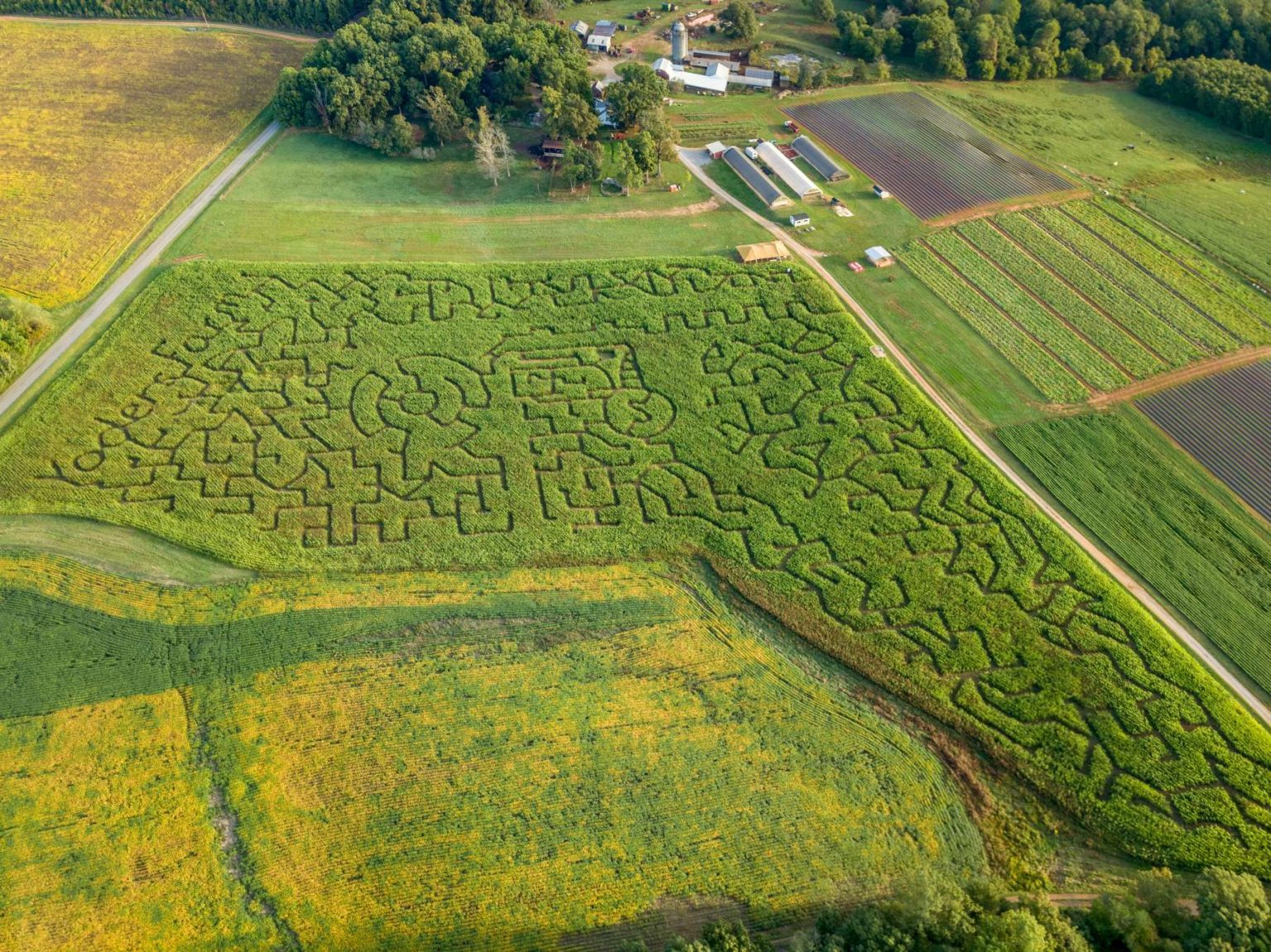 Corn Maze Lynchburg, Rustburg, Central Virginia Yoders' Farm