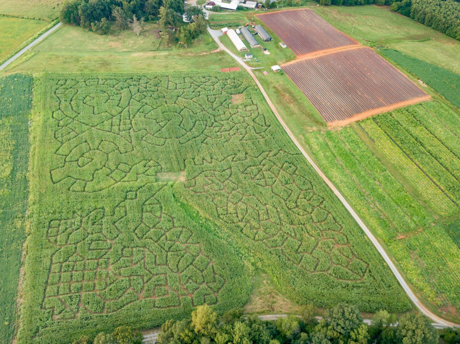 Corn Maze Lynchburg, Rustburg, Central Virginia Yoders' Farm