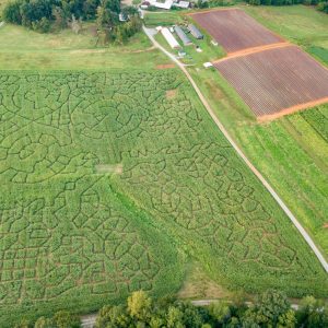 2018 Corn Maze