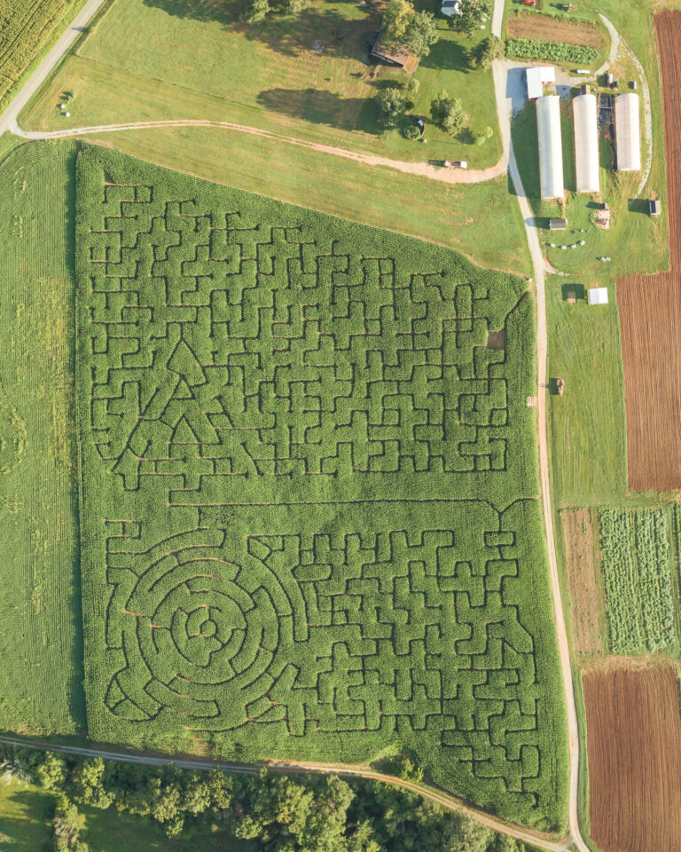 Corn Maze - Lynchburg, Rustburg, Central Virginia - Yoders' Farm