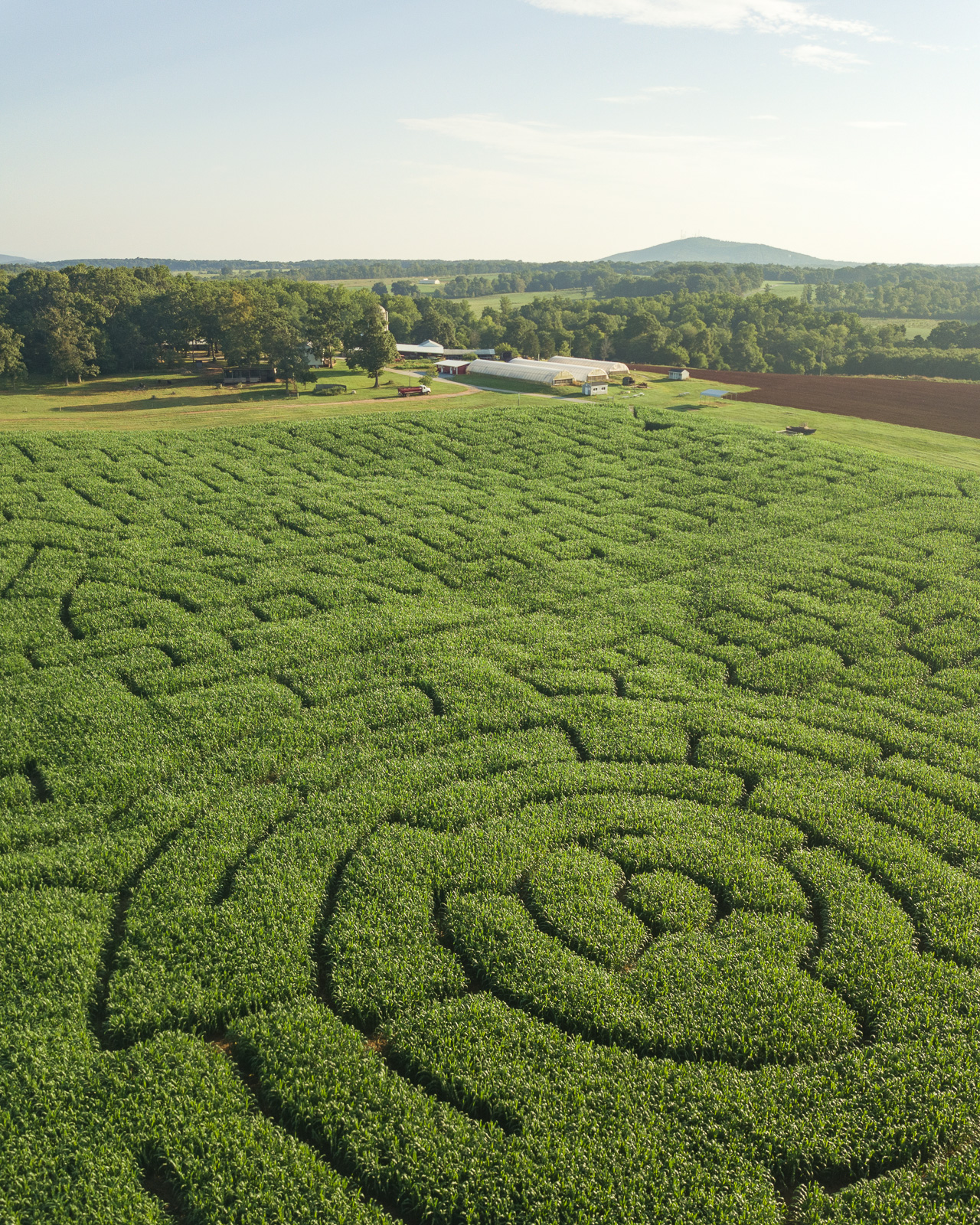 5 Pack of Corn Maze Tickets