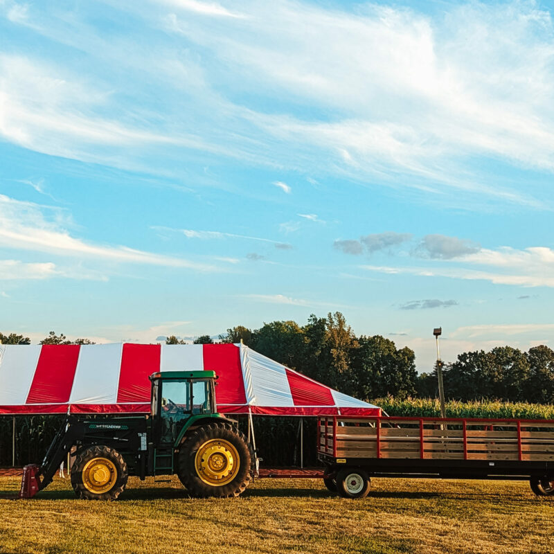 Yoders Farm - Local Produce & Family Activities - Rustburg VA