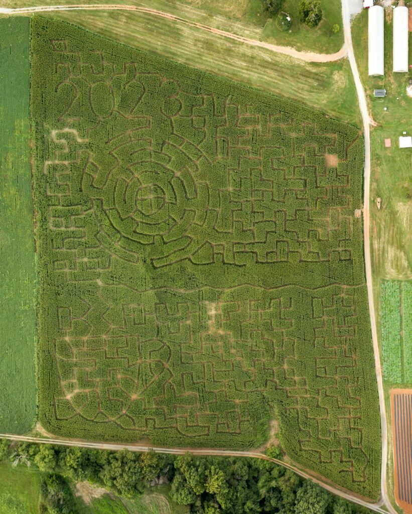 2023 Corn Maze